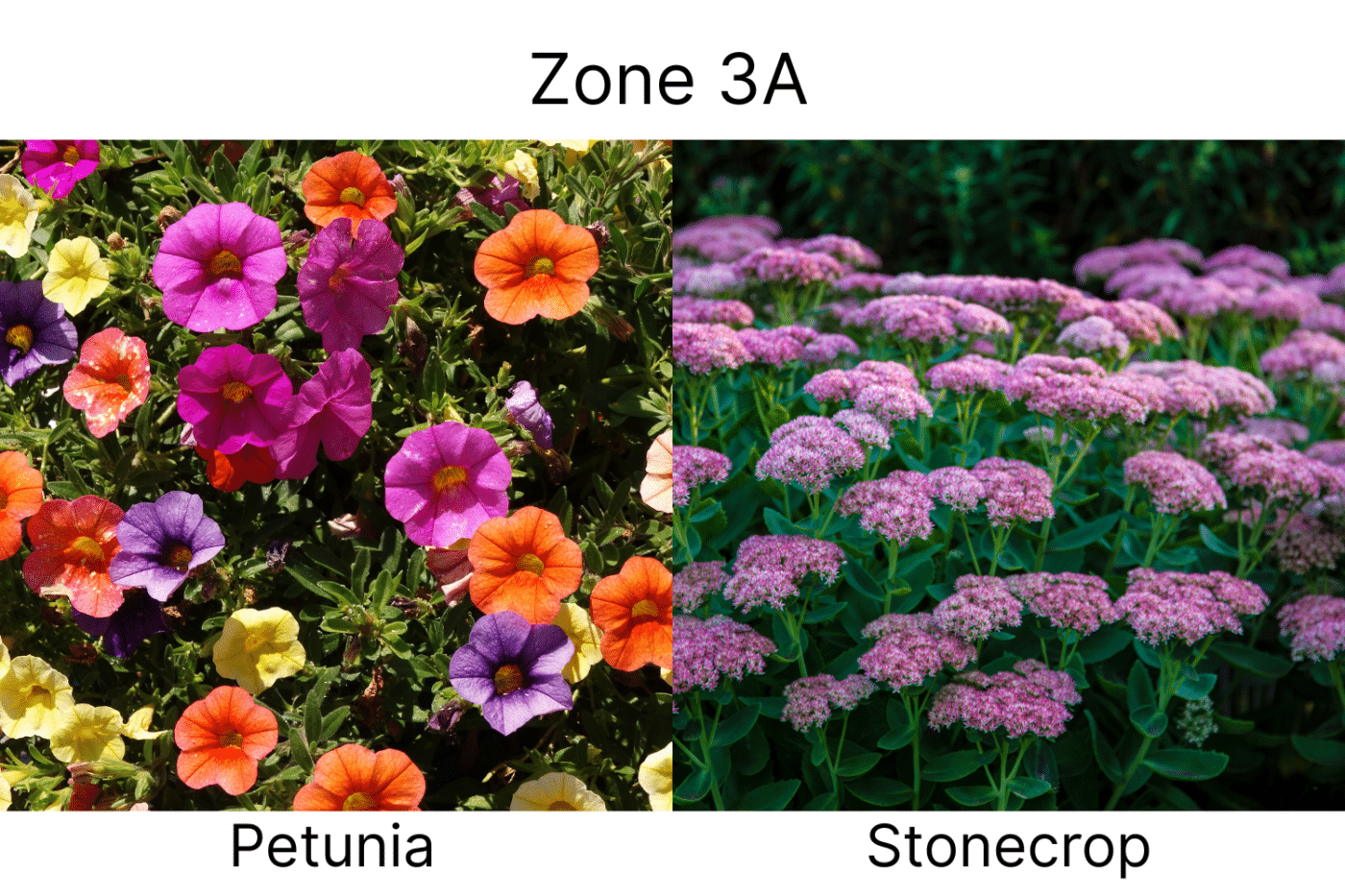 Manufactured Home landscape ideas 3a