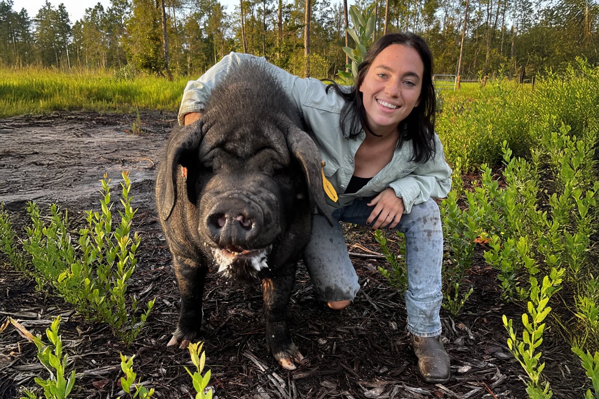 The Farm at Oke Connection with Nature