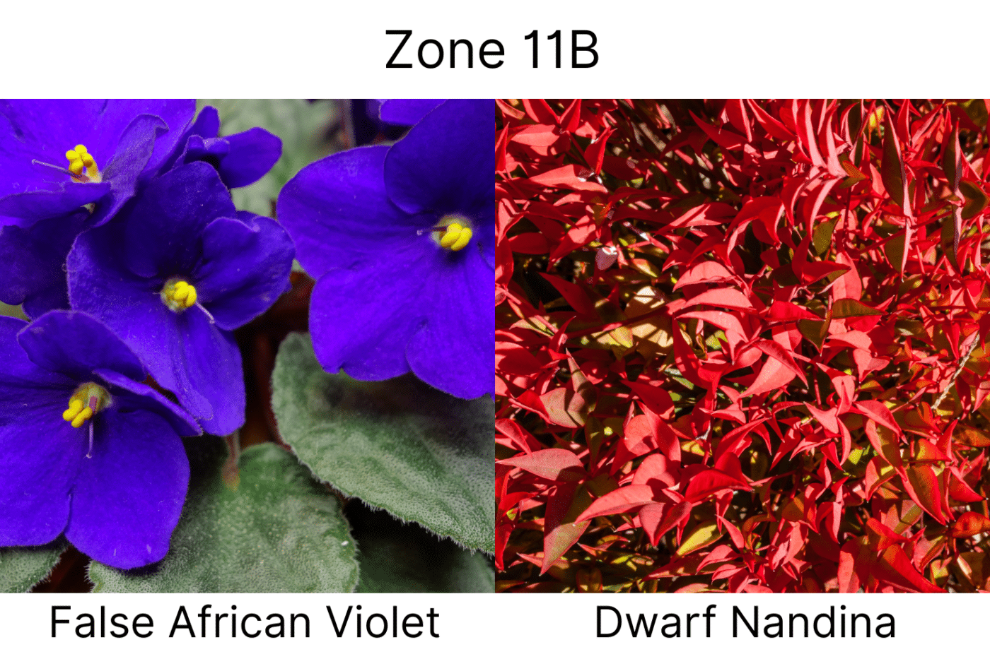 Manufactured Home landscape ideas 11b