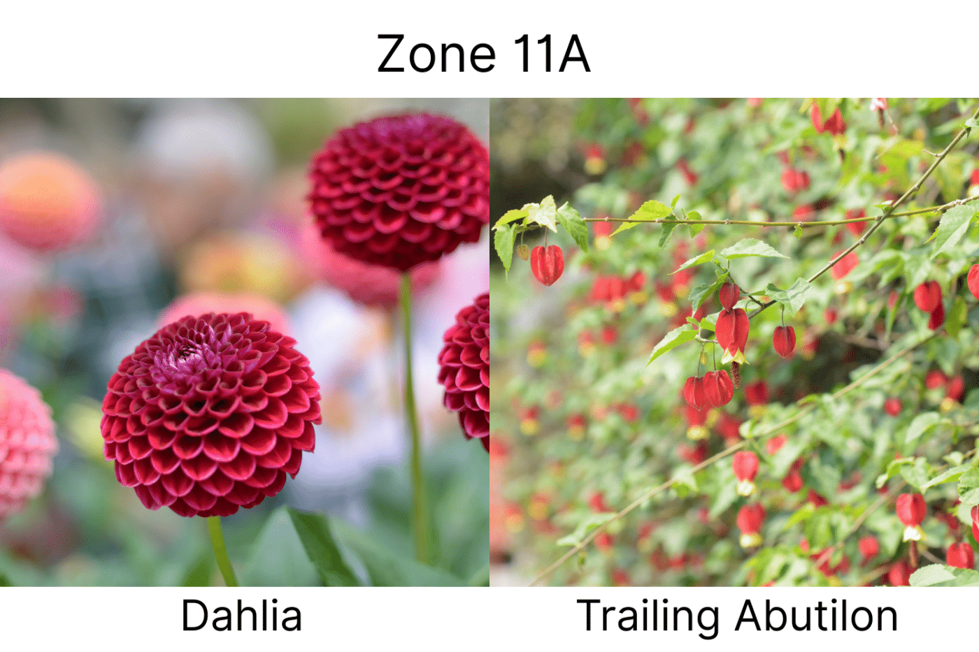 Manufactured Home landscape ideas 11a