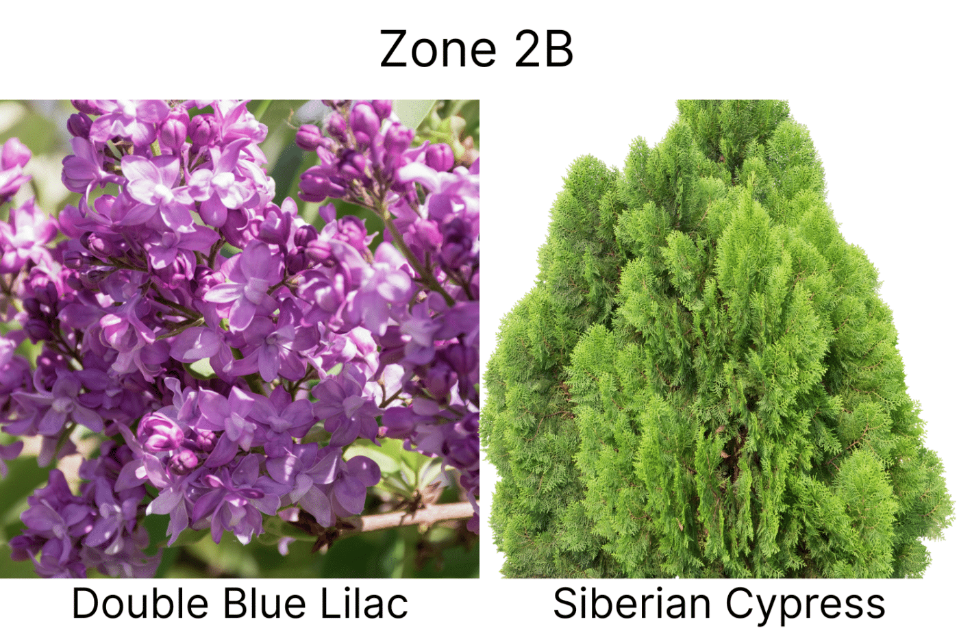 Manufactured Home landscape ideas 2b