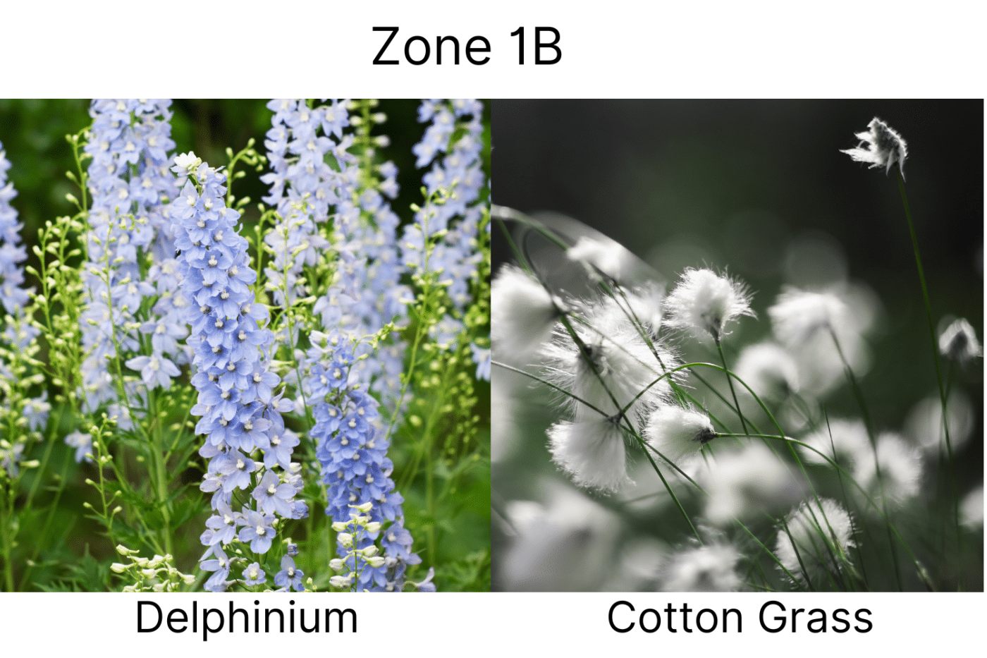 Manufactured Home landscape ideas 1b