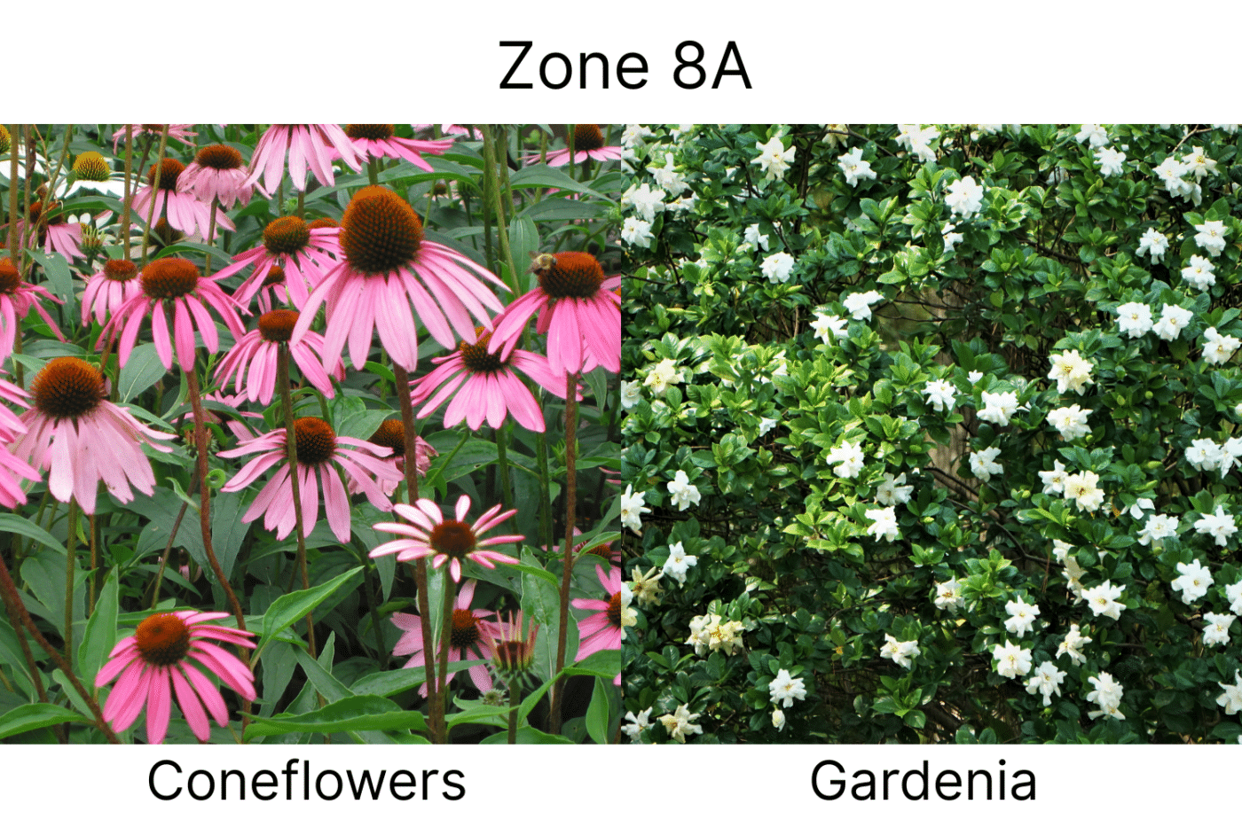 Manufactured Home landscape ideas 8a