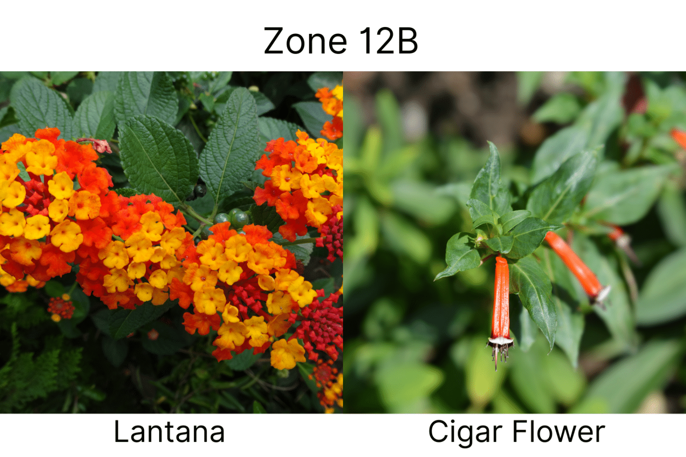 Manufactured Home landscape ideas 12b