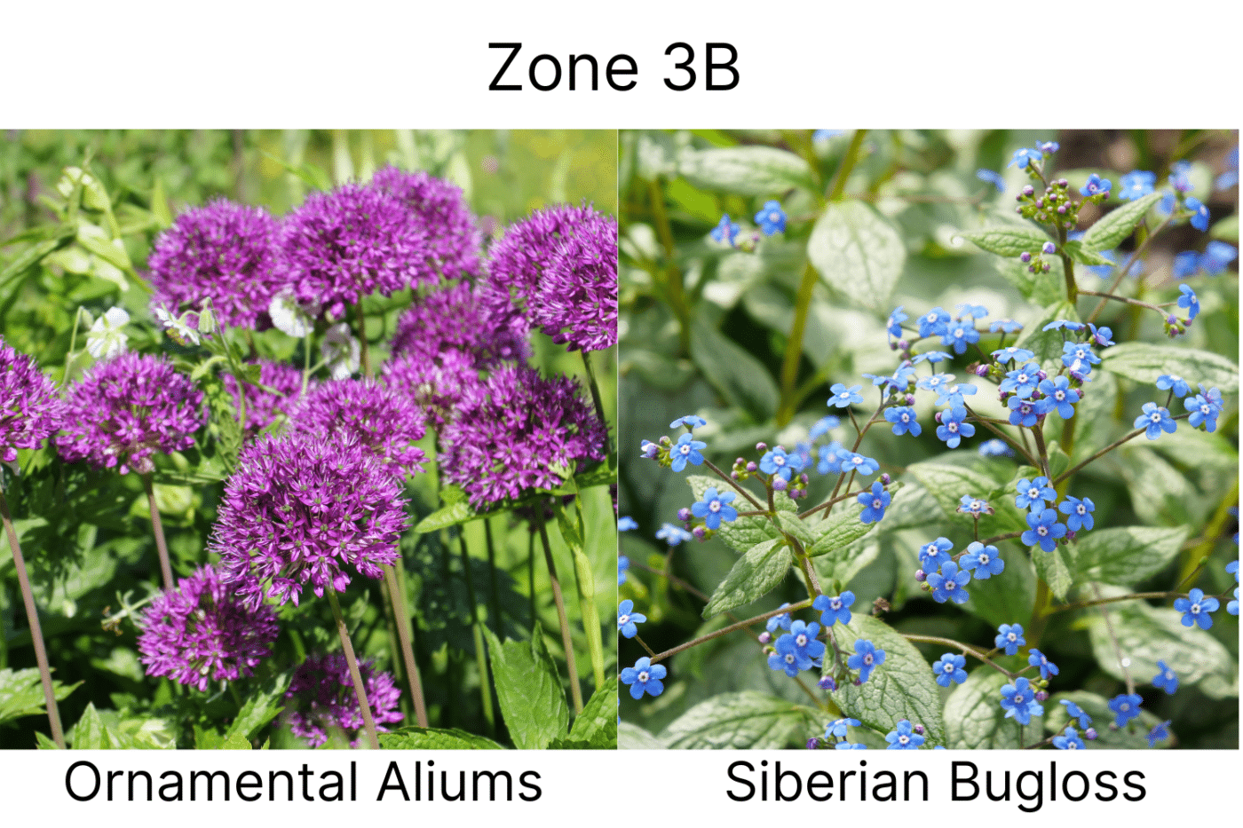 Manufactured Home landscape ideas 3b