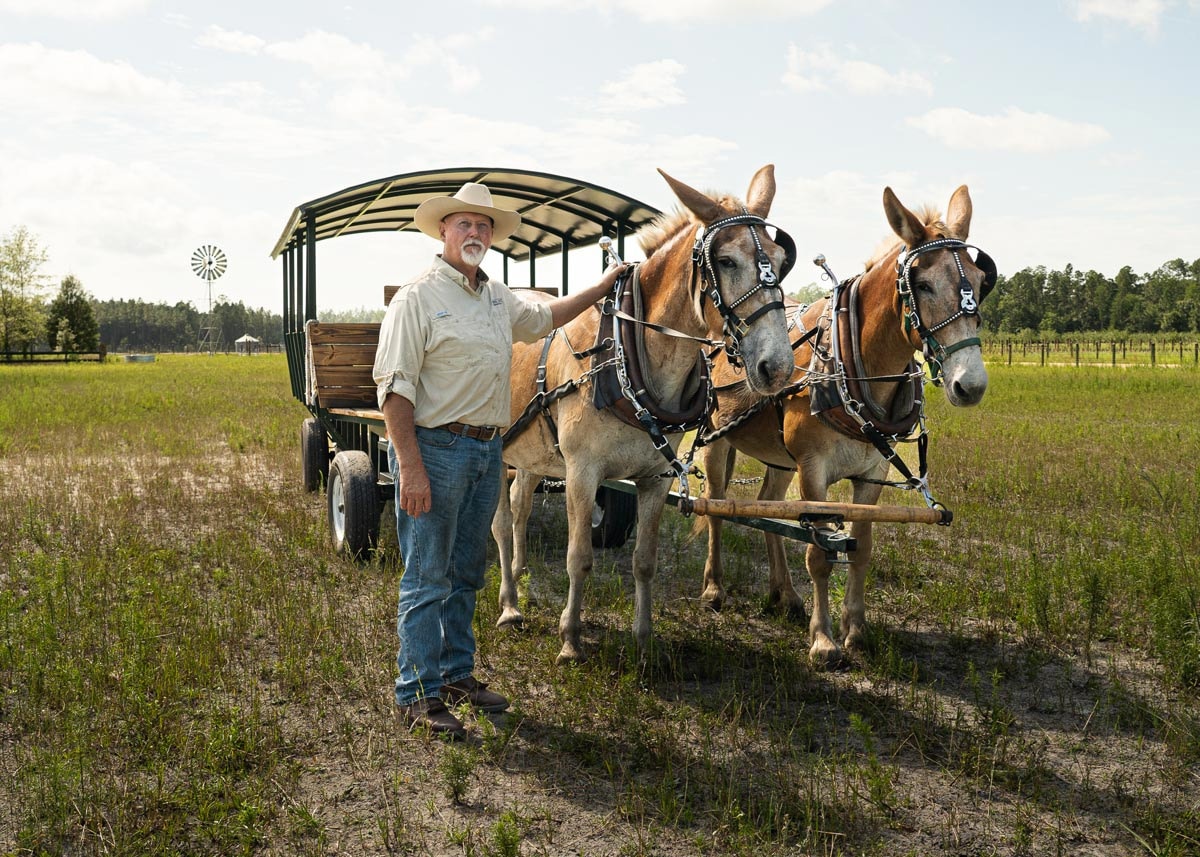 THE FARM AT OKEFENOKEE