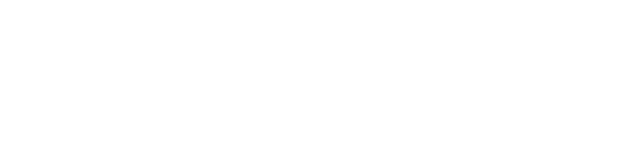 ZookCabins Logo Horizontal White