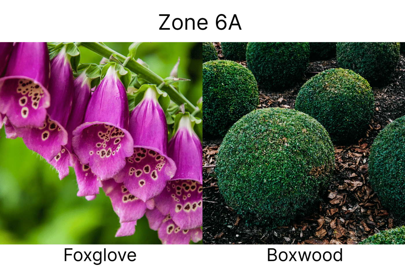 Manufactured Home landscape ideas 6a