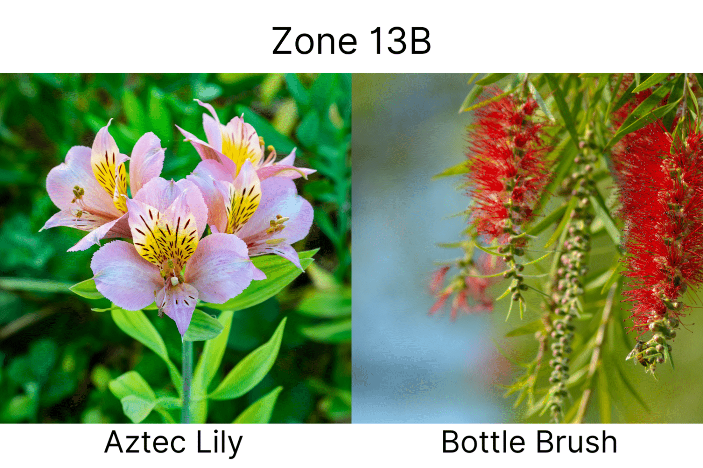 Manufactured Home landscape ideas 13b