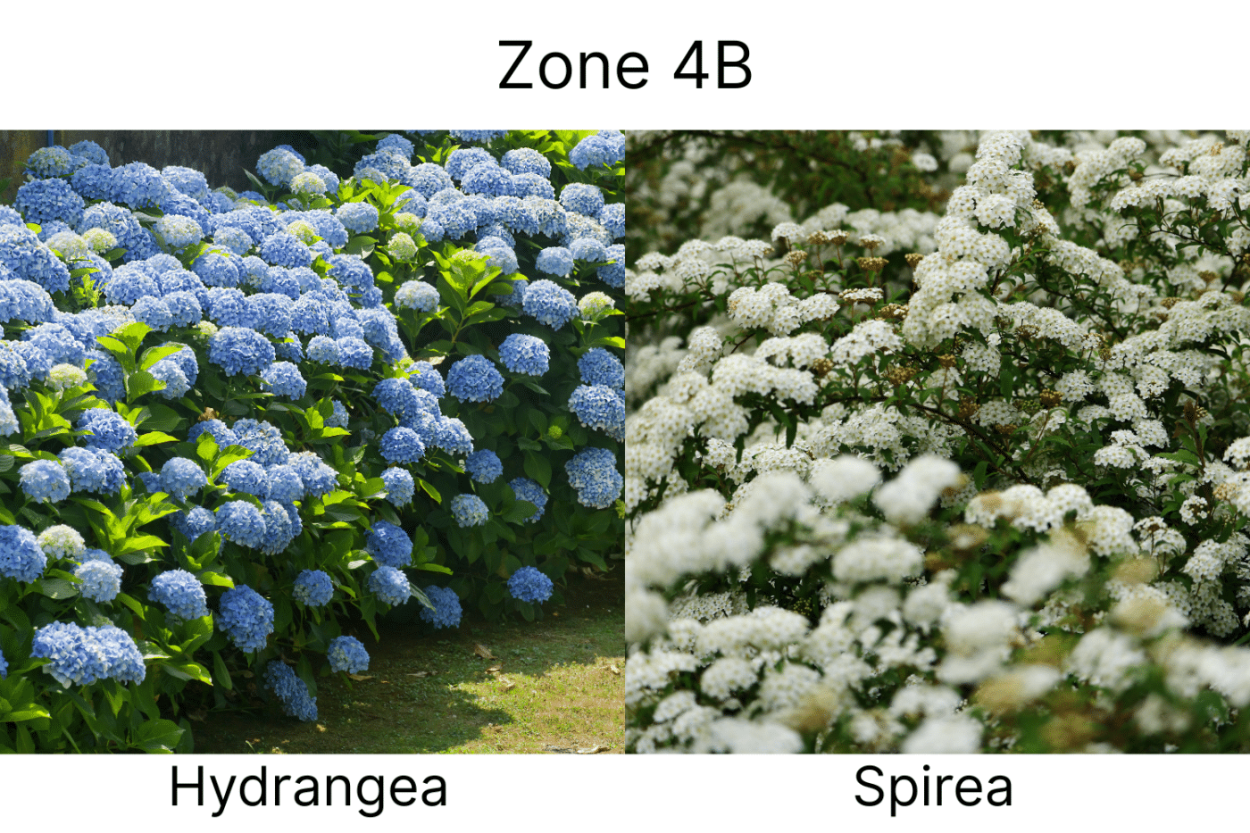 Manufactured Home landscape ideas 4b