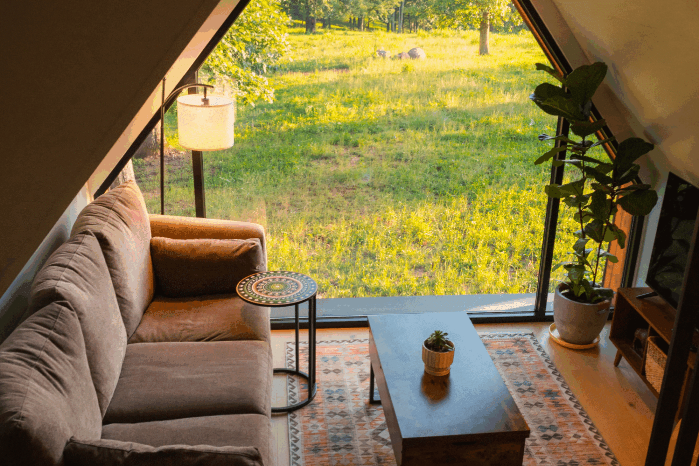 living room with stunning views of culpeper va in a frame park model tiny home