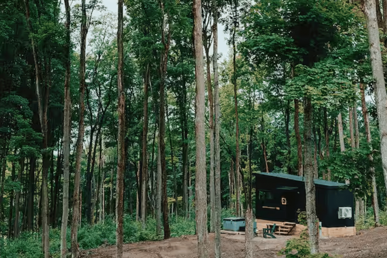 Experience a Psy Homes 81