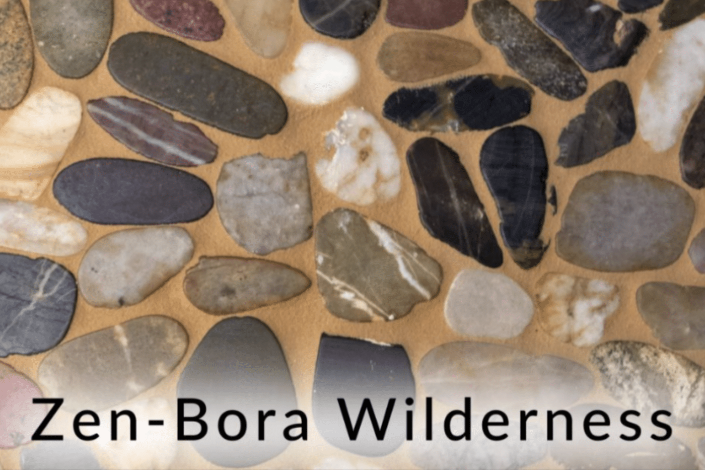 Zen bora wilderness