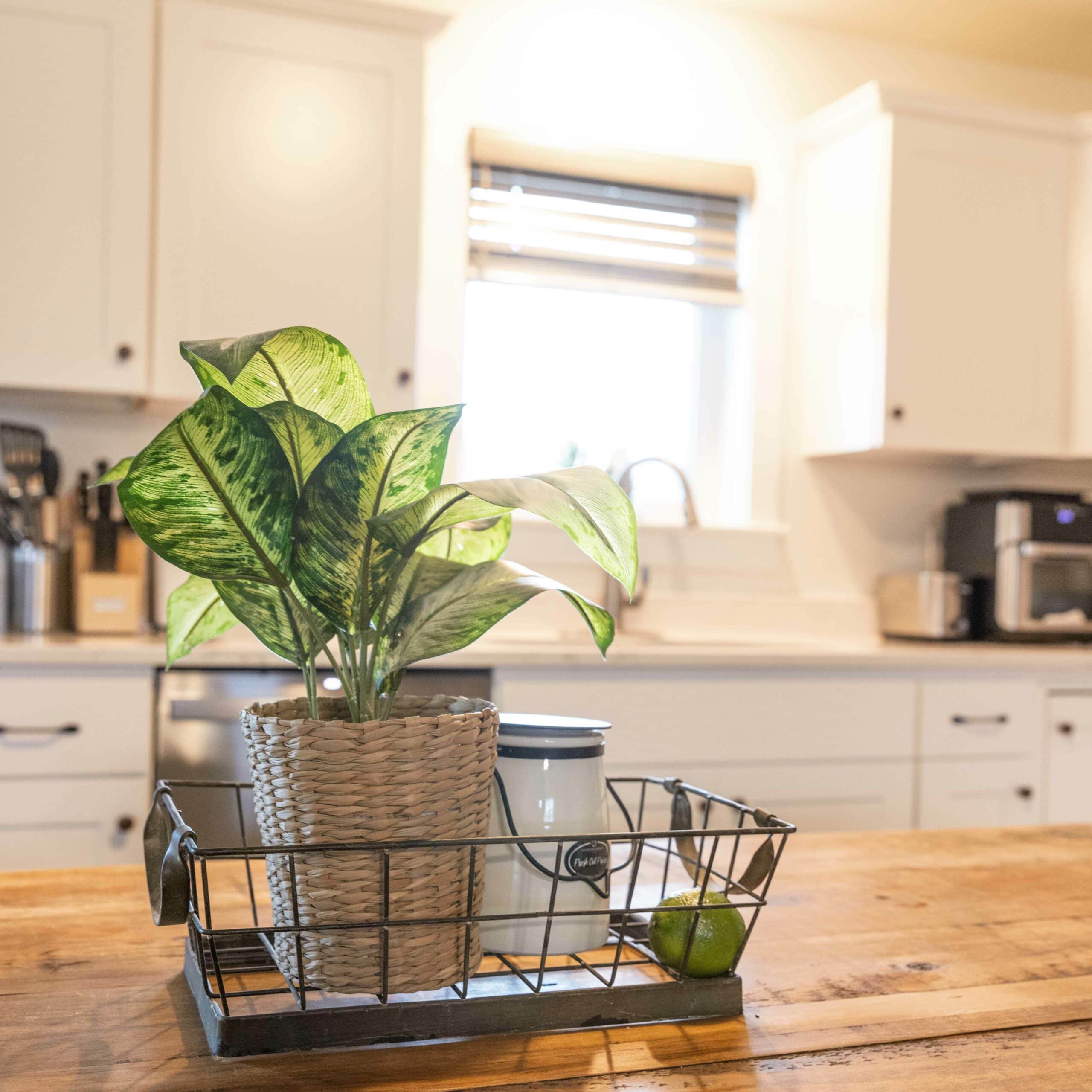 Woodland Modern Cabin interior