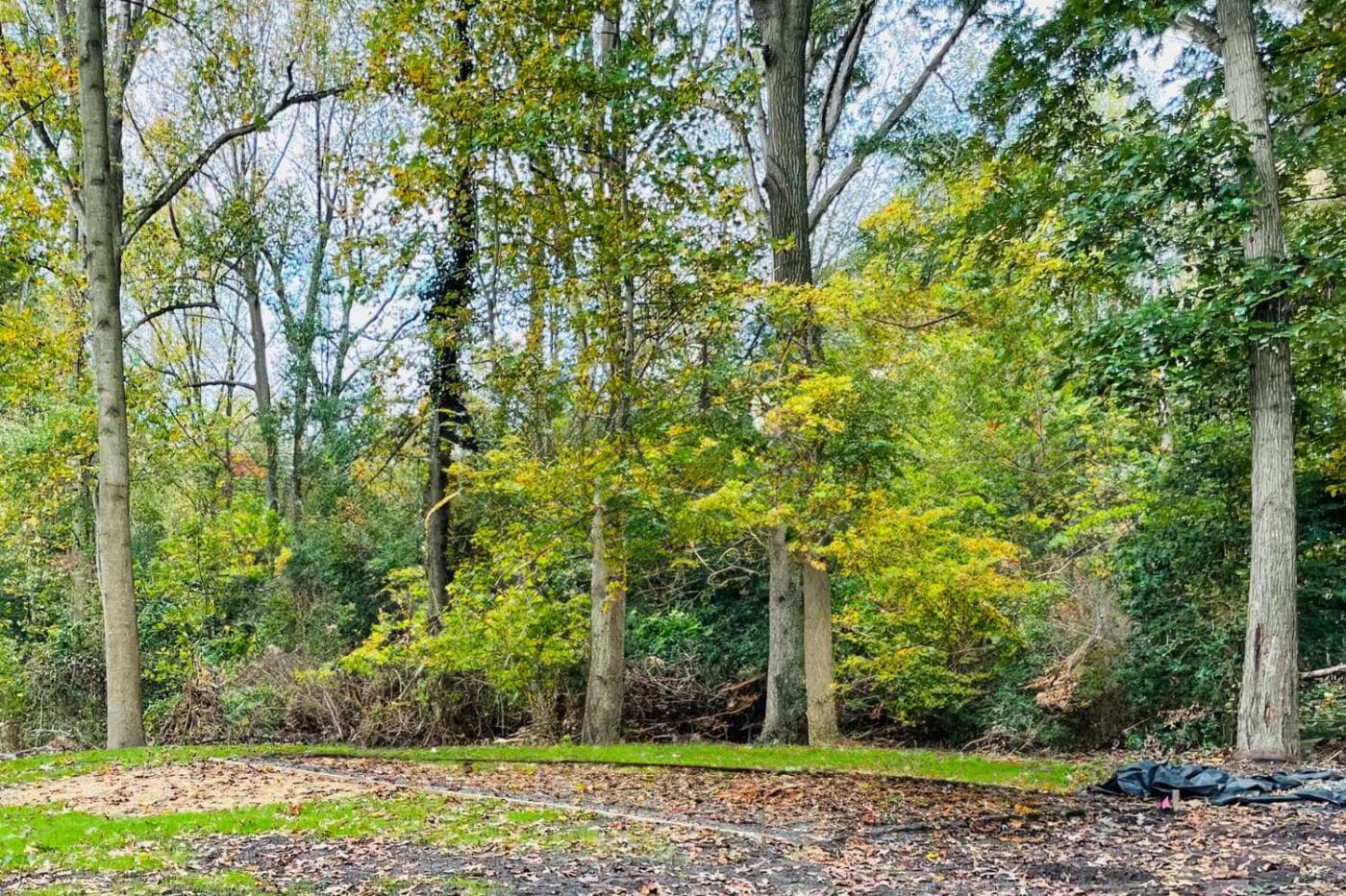 Campground Site before park model is placed