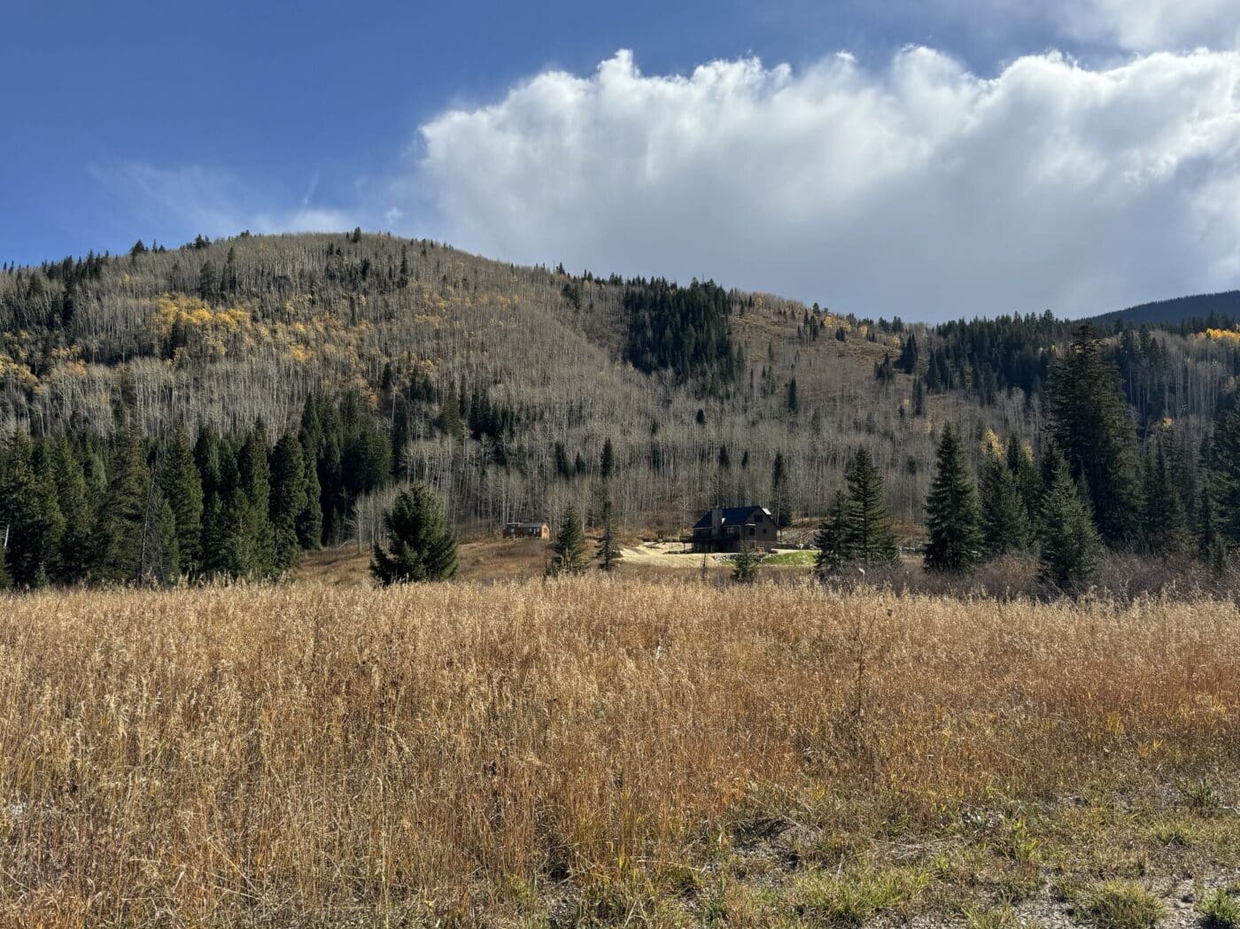 30x52 Timberline in Edwards CO setting