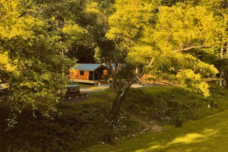 Luxe Riverfront Cabin 4 in Pond Eddy New York