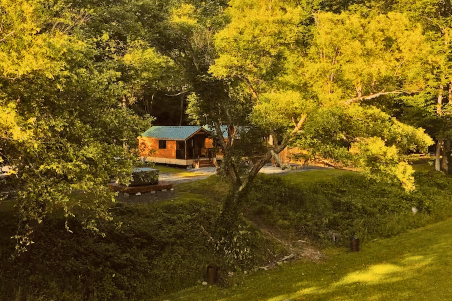 Experience a Psy Homes 75